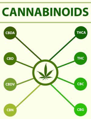 MaineCoastHemp-cannabinoids