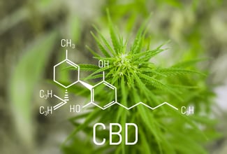 What is  CBD