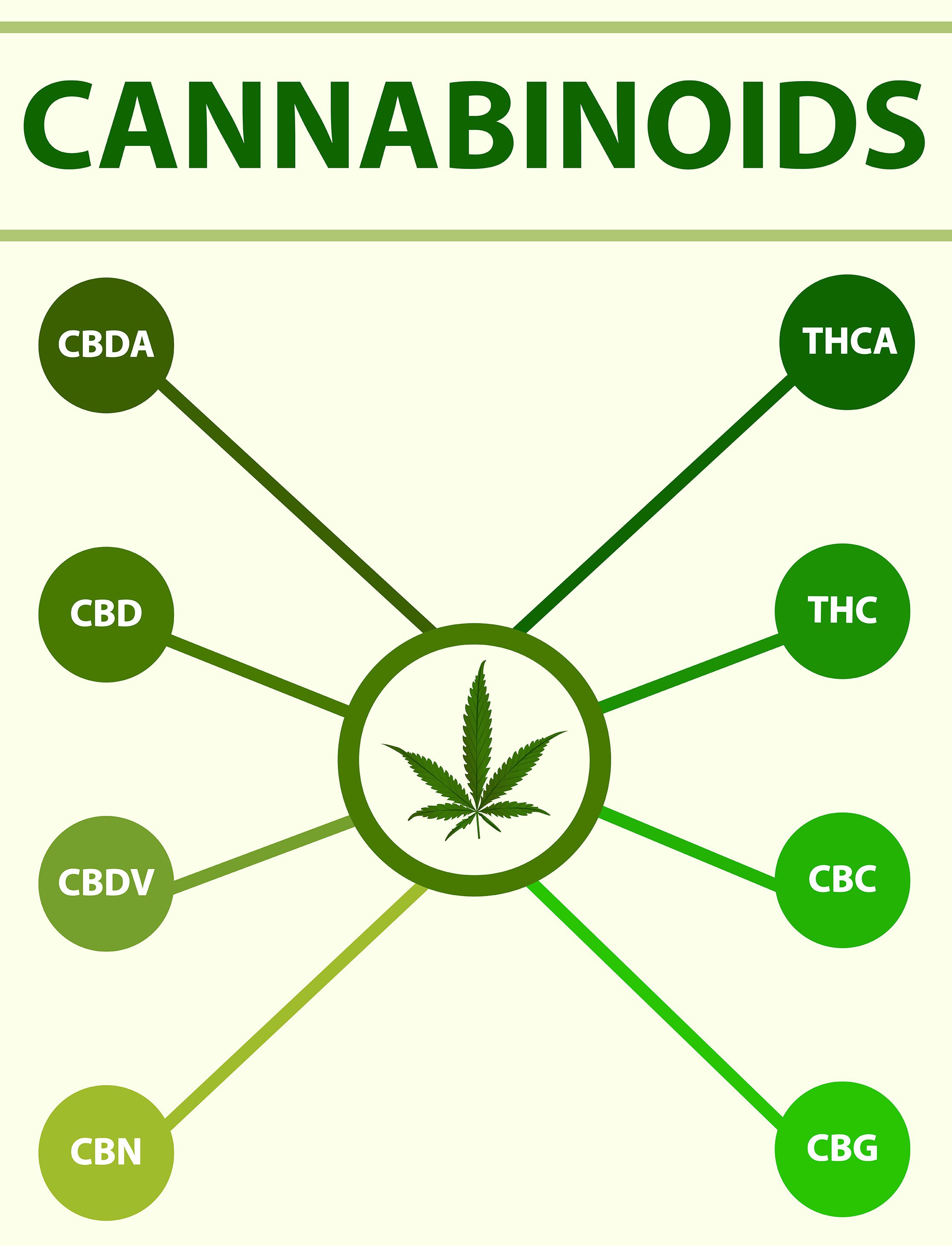 WHAT ARE CANNABINOIDS?